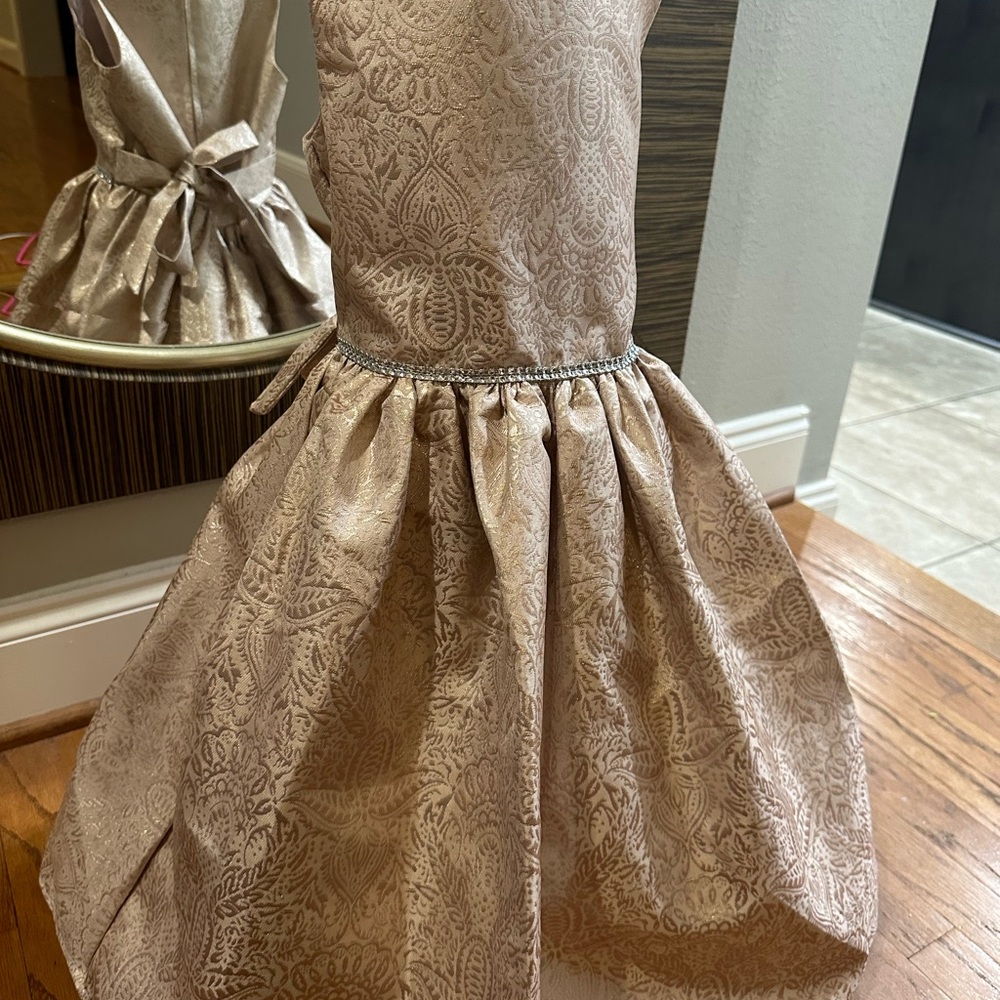 Elegant Brocade Dress